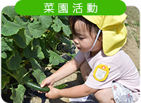 �؉�����