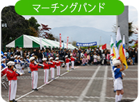 �̑�����